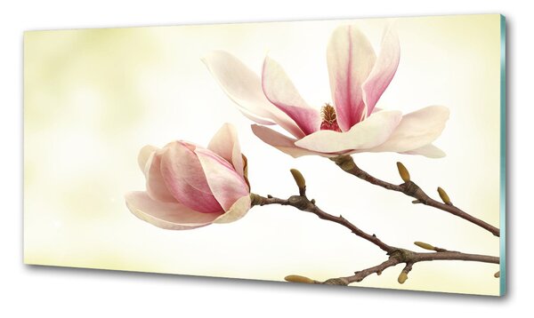 Panou sticlă decorativa bucătărie Magnolie