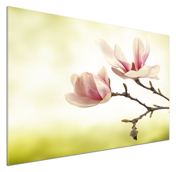 Panou sticlă decorativa bucătărie Magnolie
