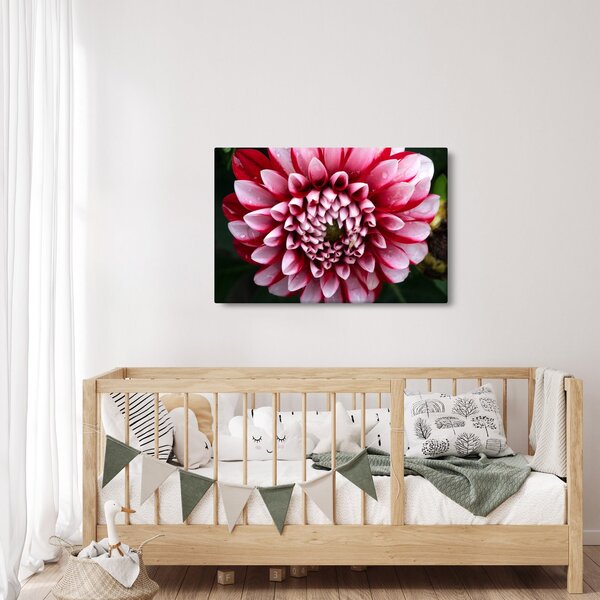 Tablou cu dalie roz (90x60 cm)