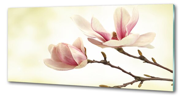 Panou sticlă decorativa bucătărie Magnolie