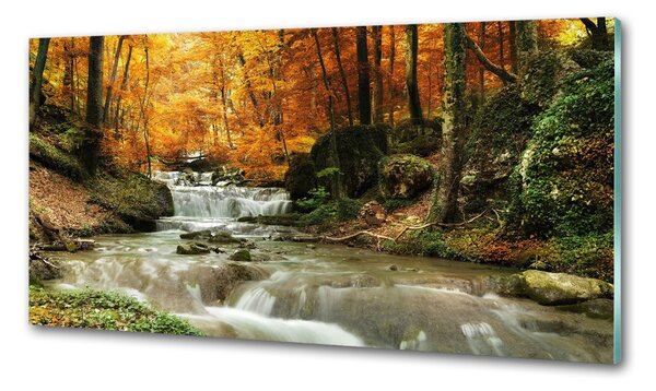 Panou sticla securizata bucatarie Cascada din pădure