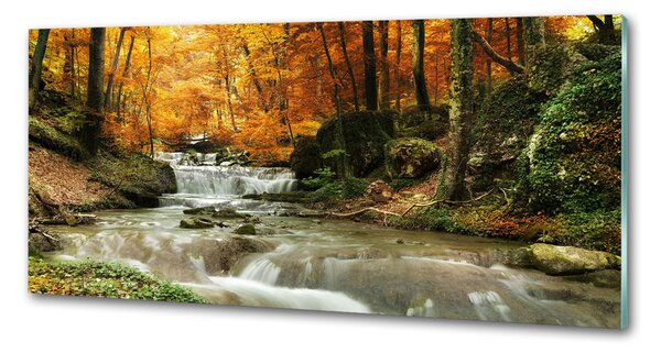 Panou sticla securizata bucatarie Cascada din pădure