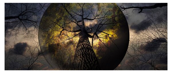 Tablou - Cerul enigmatic (120x50 cm)