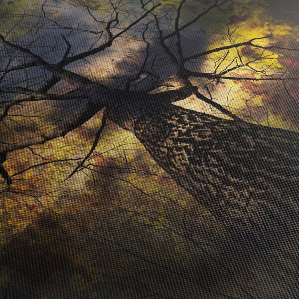 Tablou - Cerul enigmatic (90x60 cm)