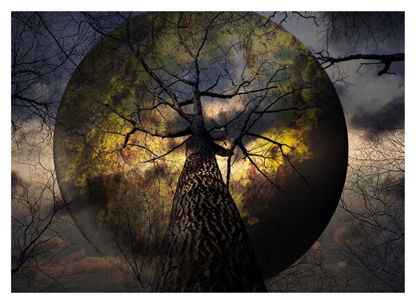 Tablou - Cerul enigmatic (70x50 cm)