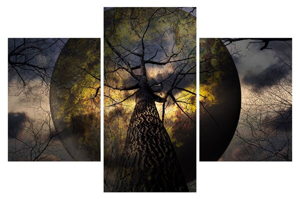 Tablou - Cerul enigmatic (90x60 cm)