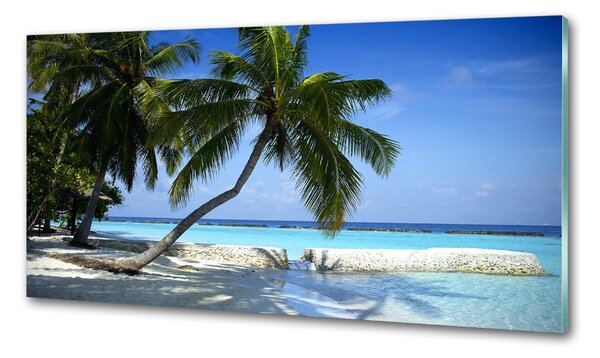 Sticlă pentru bucătărie plaja tropicala