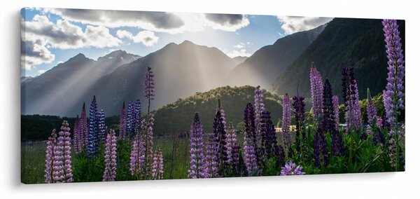 Tablou - scenariu cu flori de Lupin (120x50 cm)