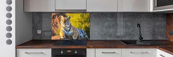 Sticlă pentru bucătărie Portret de un tigru