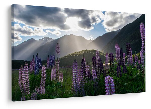 Tablou - scenariu cu flori de Lupin (90x60 cm)