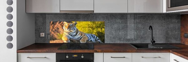 Sticlă pentru bucătărie Portret de un tigru
