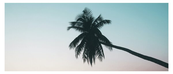 Tablou - Palmier la Bali (120x50 cm)