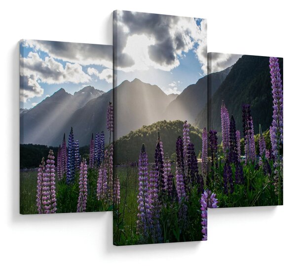 Tablou - scenariu cu flori de Lupin (90x60 cm)