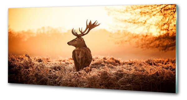 Panou sticlă bucătărie Sunrise Deer