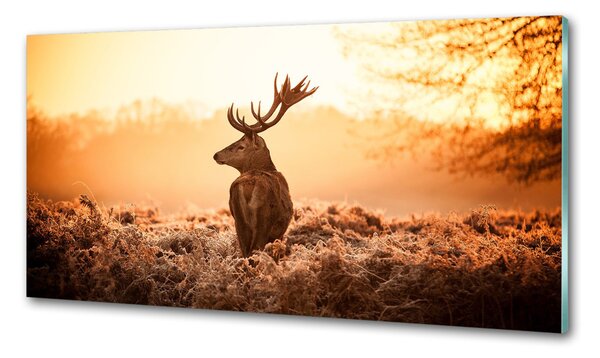 Panou sticlă bucătărie Sunrise Deer