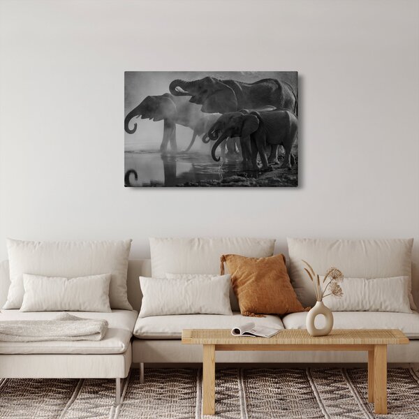 Tablou cu elefanți - albnegru (90x60 cm)