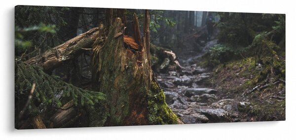 Tablou - În pădure (120x50 cm)
