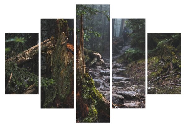 Tablou - În pădure (150x105 cm)
