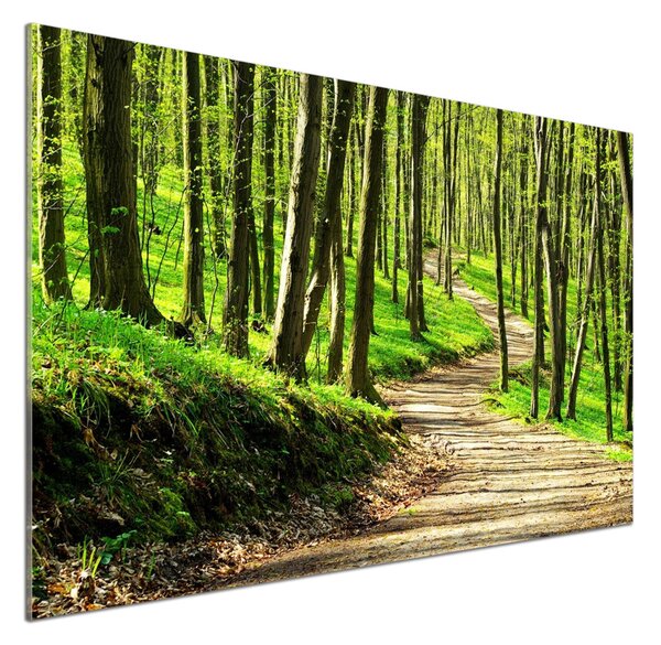 Panou sticla securizata bucatarie Calea în pădure