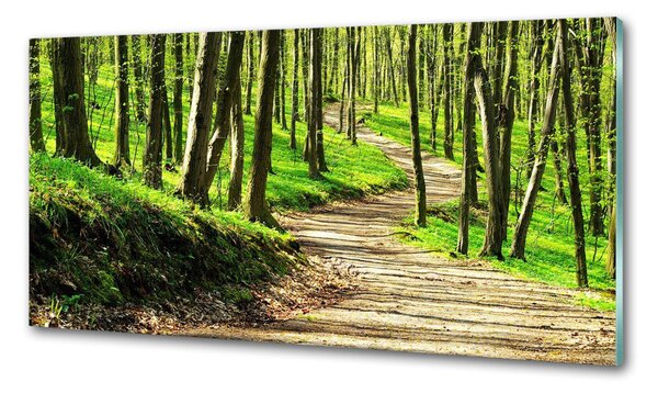 Panou sticla securizata bucatarie Calea în pădure
