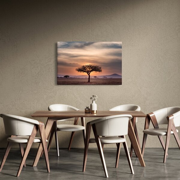 Tablou apusului de soare în Tanzania (90x60 cm)