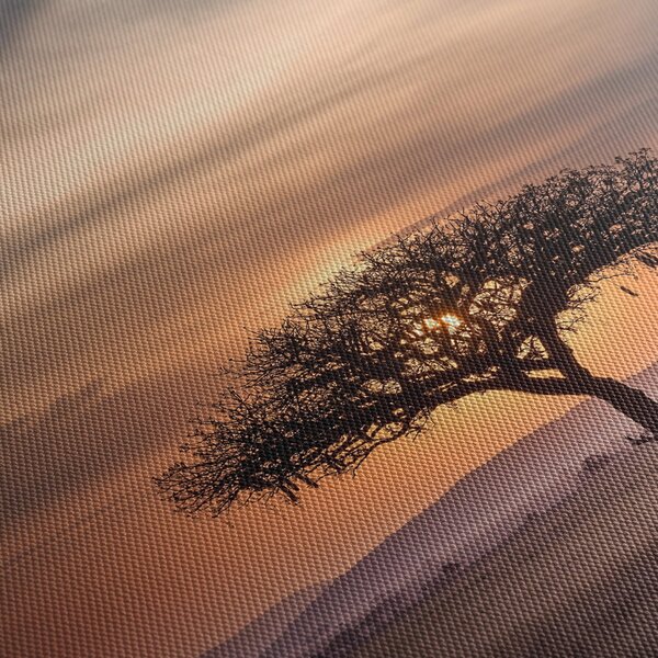 Tablou apusului de soare în Tanzania (90x60 cm)