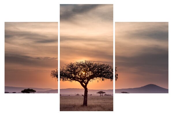 Tablou apusului de soare în Tanzania (90x60 cm)