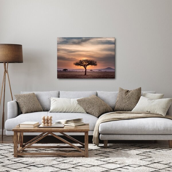 Tablou apusului de soare în Tanzania (70x50 cm)