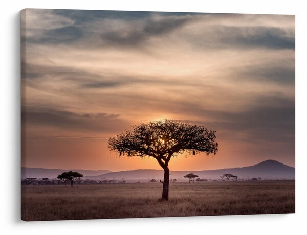 Tablou apusului de soare în Tanzania (70x50 cm)