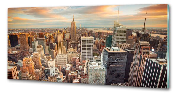 Panou sticlă decorativa bucătărie New York pasăre de zbor
