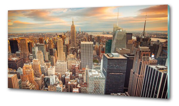 Panou sticlă decorativa bucătărie New York pasăre de zbor