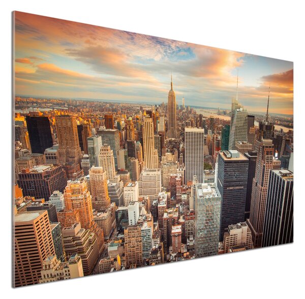 Panou sticlă decorativa bucătărie New York pasăre de zbor