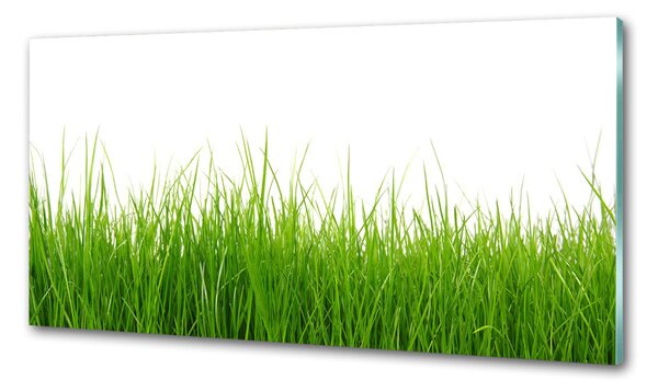 Panou sticla securizata bucatarie Iarbă