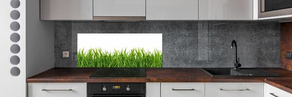 Panou sticla securizata bucatarie Iarbă