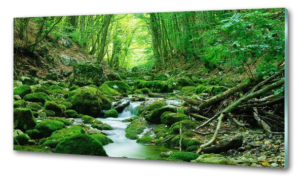 Sticlă printata bucătărie Stream în pădure