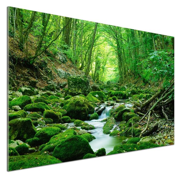 Sticlă printata bucătărie Stream în pădure