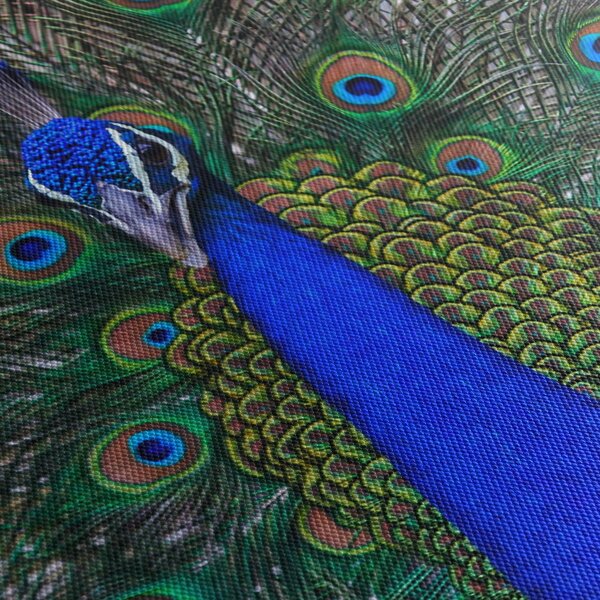 Tablou - Păun (90x60 cm)