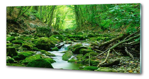 Sticlă printata bucătărie Stream în pădure