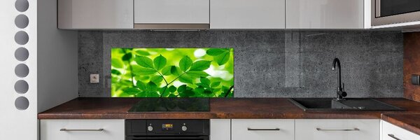 Panou sticla securizata bucatarie Frunze verzi