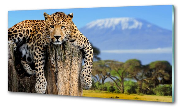 Panou sticlă bucătărie Leopard pe un ciot de copac