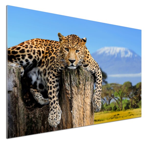 Panou sticlă bucătărie Leopard pe un ciot de copac