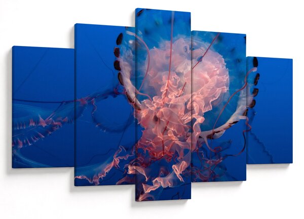 Tablou - Medusa (150x105 cm)