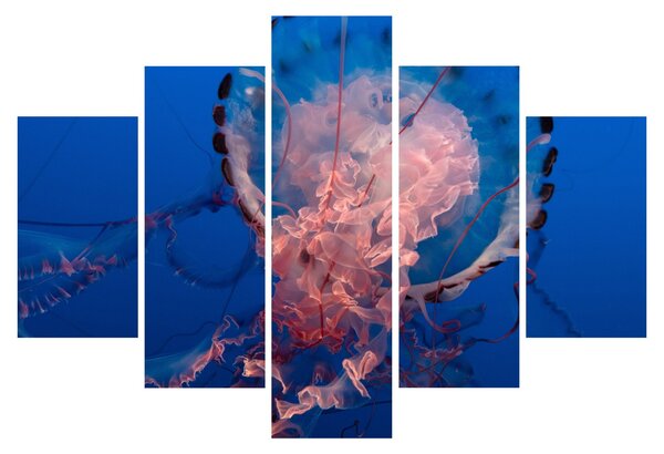 Tablou - Medusa (150x105 cm)