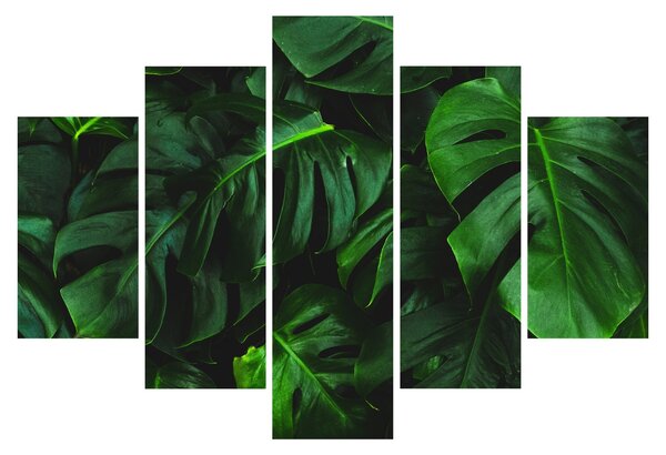 Tablou cu frunze Monstery (150x105 cm)