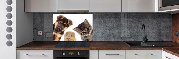 Panou de bucătărie Animale de companie