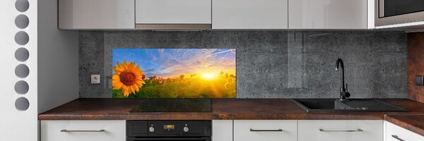 Sticlă pentru bucătărie câmp de floarea-soarelui