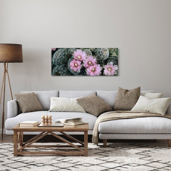 Tablou floare de cactus (120x50 cm)