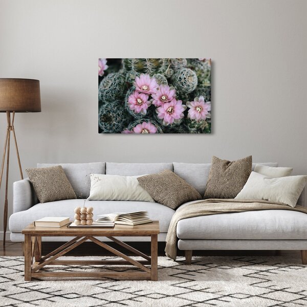 Tablou floare de cactus (90x60 cm)