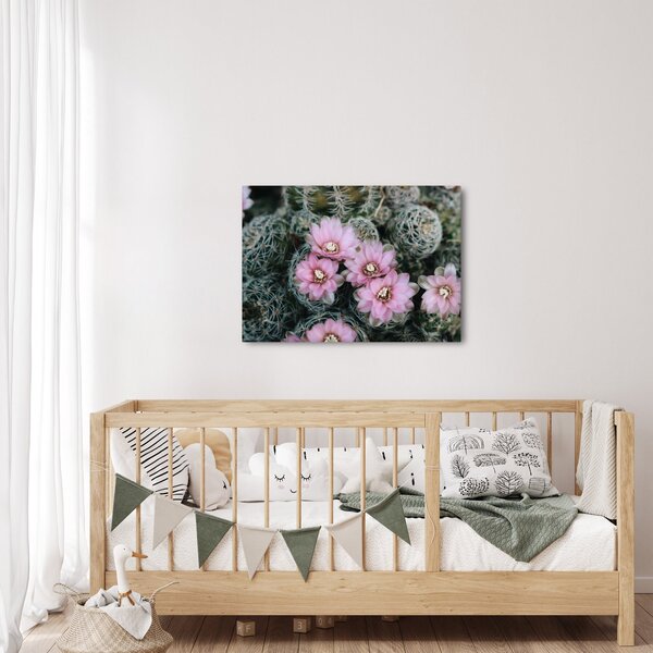 Tablou floare de cactus (70x50 cm)