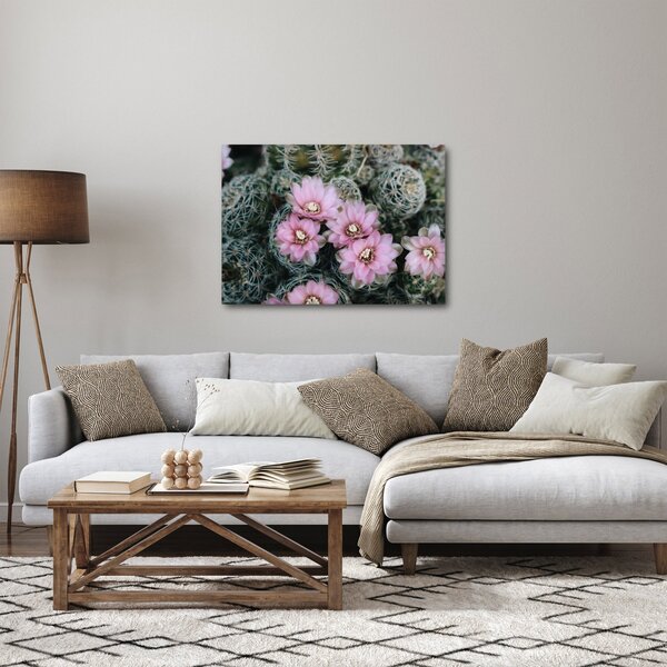 Tablou floare de cactus (70x50 cm)